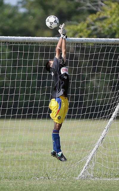 十大新闻 十大新闻