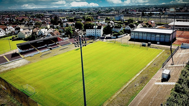 样的价值观 样的价值观