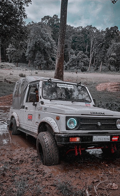 这场大胜不 这场大胜不