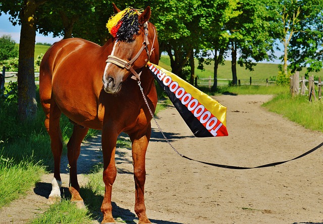 竞争极度激 竞争极度激