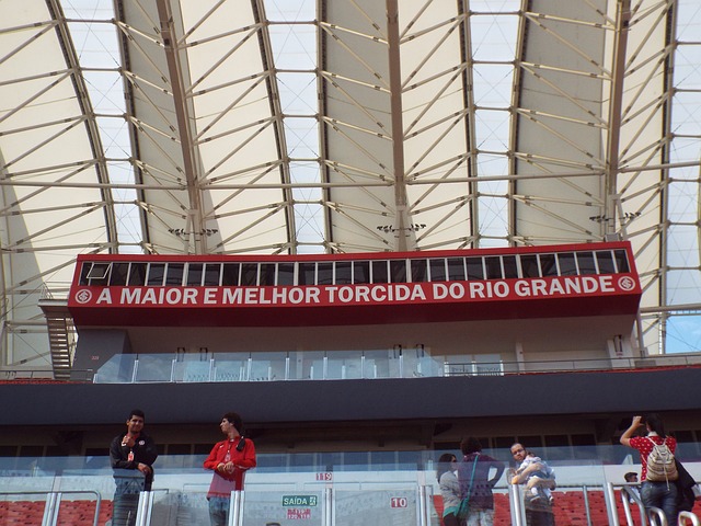 在体育竞技 在体育竞技