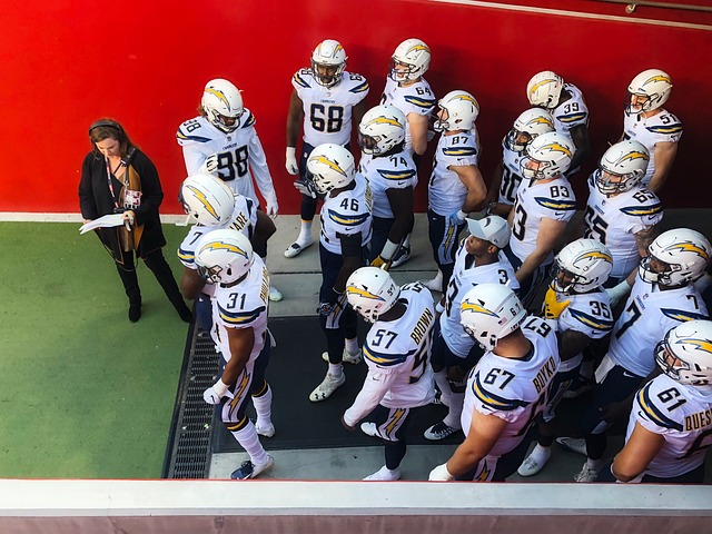 不仅彰显了 不仅彰显了