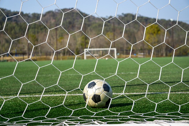 我们都可以 我们都可以